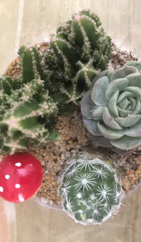 不应只是剪刀手