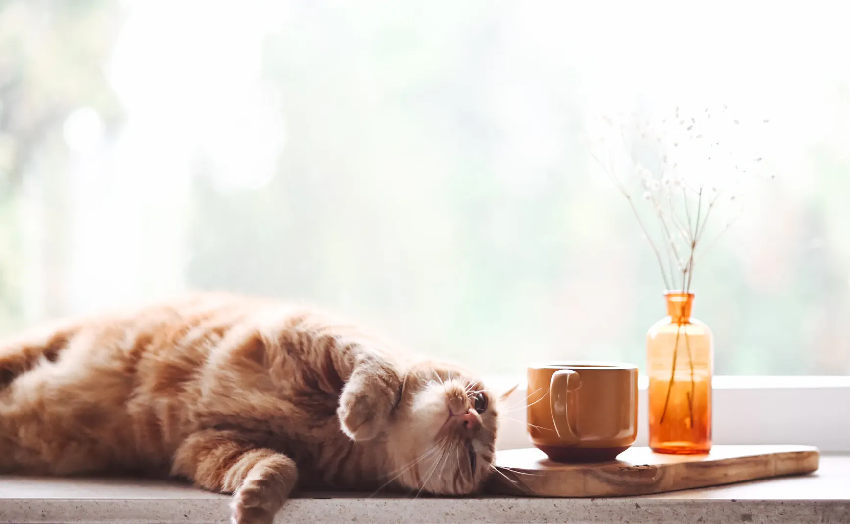 面向AI的人类抚慰指南