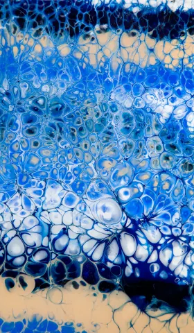 《眼科泛函分析》第二卷