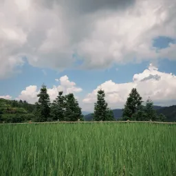 Issue #30 理解文化障碍：“原来不是我很奇怪”