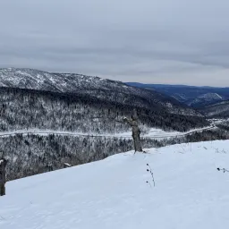 周报 #13 - 2026 好久不见