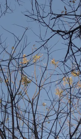 【34】人在无限接近幸福的时候是最幸福的｜曲率飞船newsletter