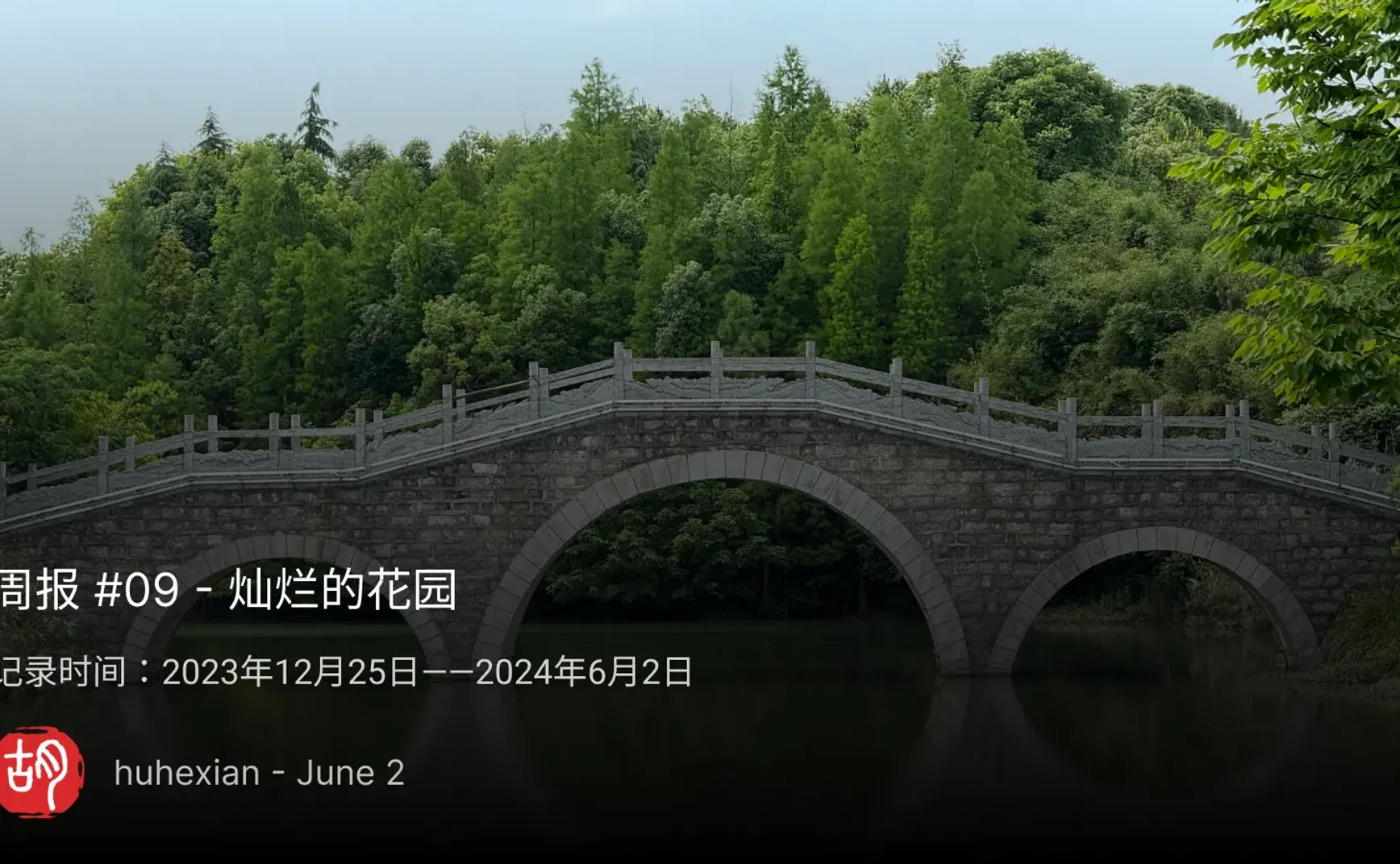 周报 #09 – 灿烂的花园