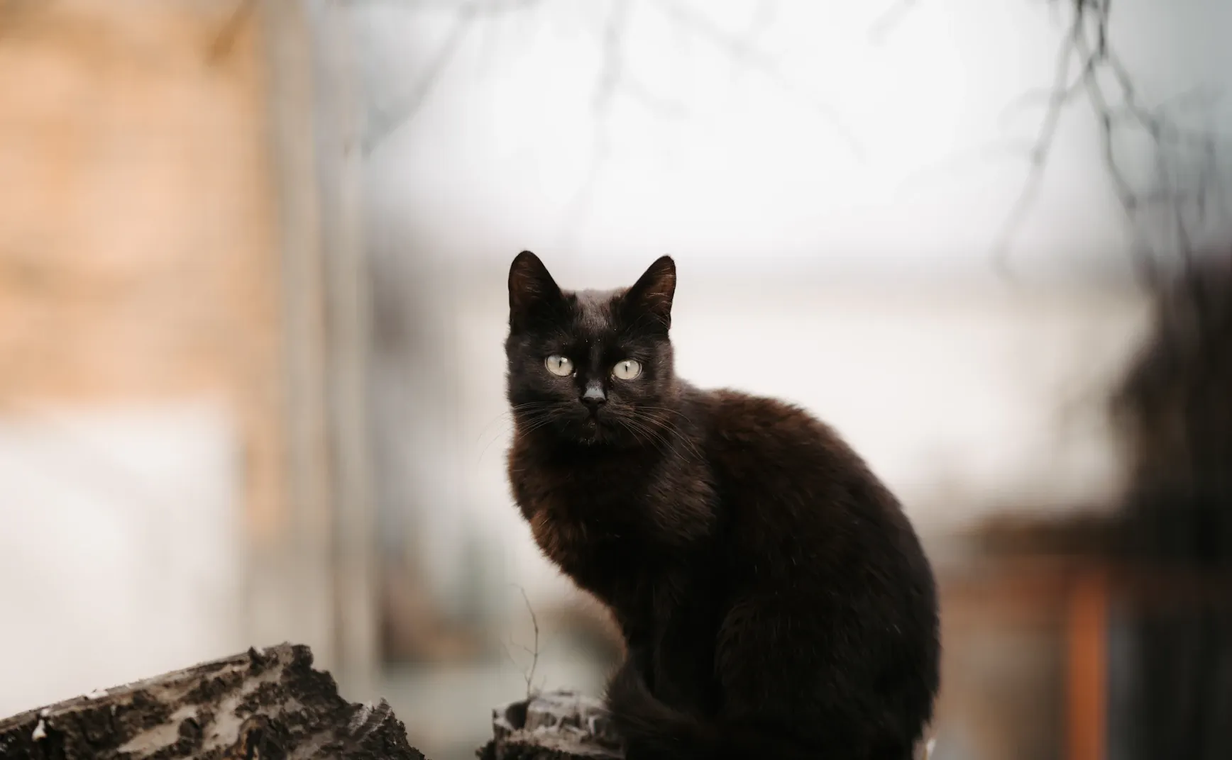 【解讀美股情緒】別低估了時間的善變 - 20251016