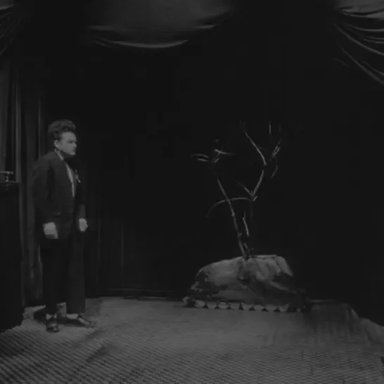 A Shamanic Initiation and Transformation through Horror: An analysis of David Lynch’s Eraserhead (1977)