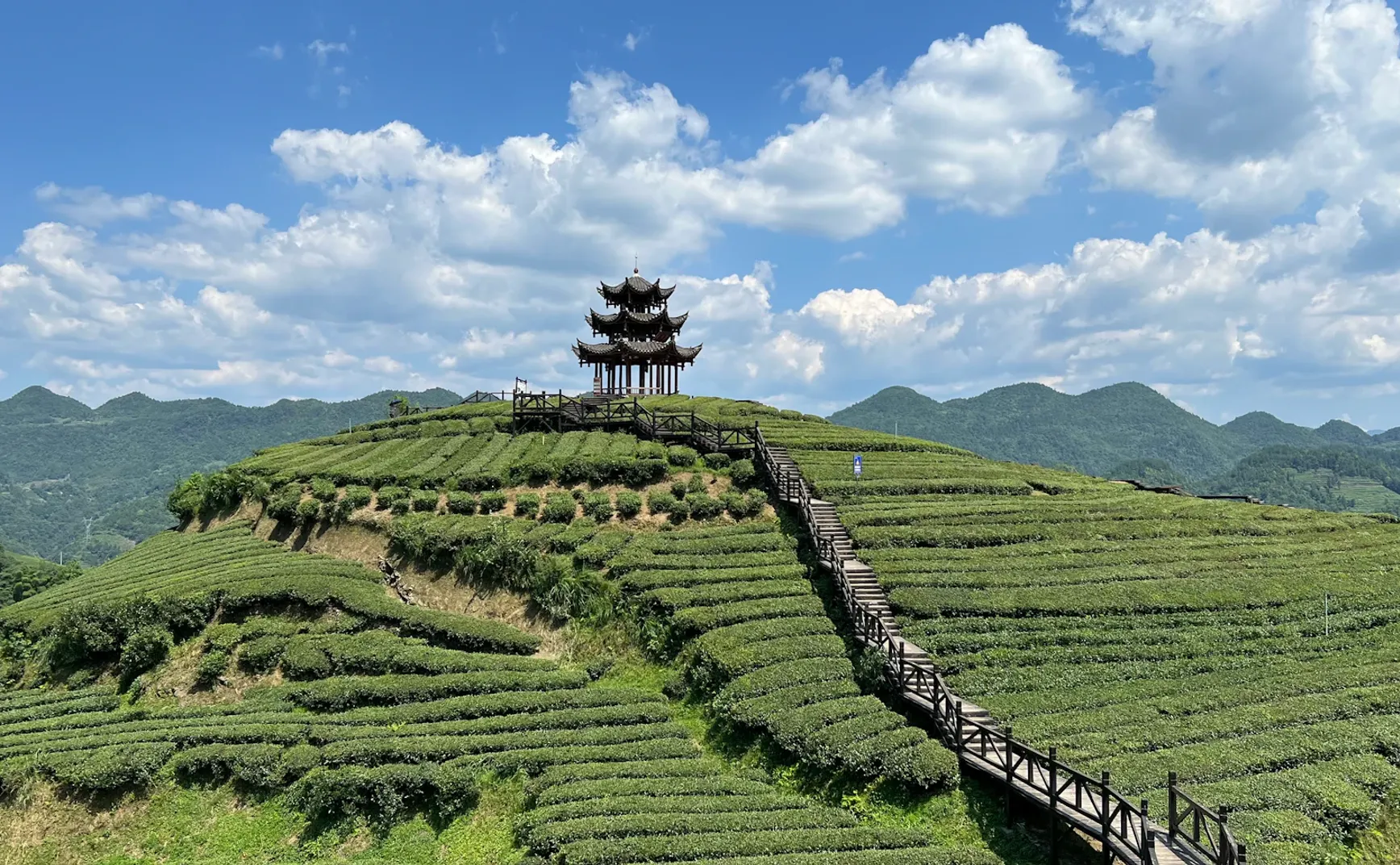 第五篇：国家为什么既需要又清洗中间组织