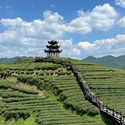 第五篇：国家为什么既需要又清洗中间组织