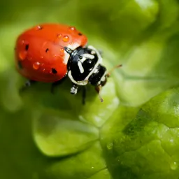 程序员复活手册第四章:漫游“Bug谷”与“变量海”
