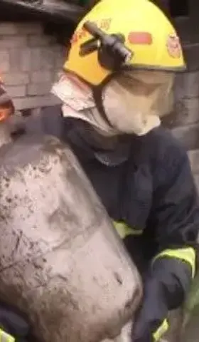 要减少银川烧烤店爆炸事故，还得靠预制菜的技术进步