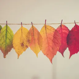 借助 AI 搭建发票 PDF 附件转为图片的服务