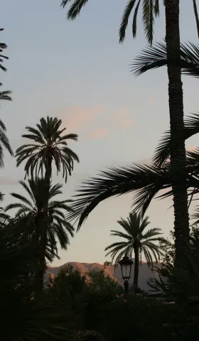 更好生活 031：重置多巴胺