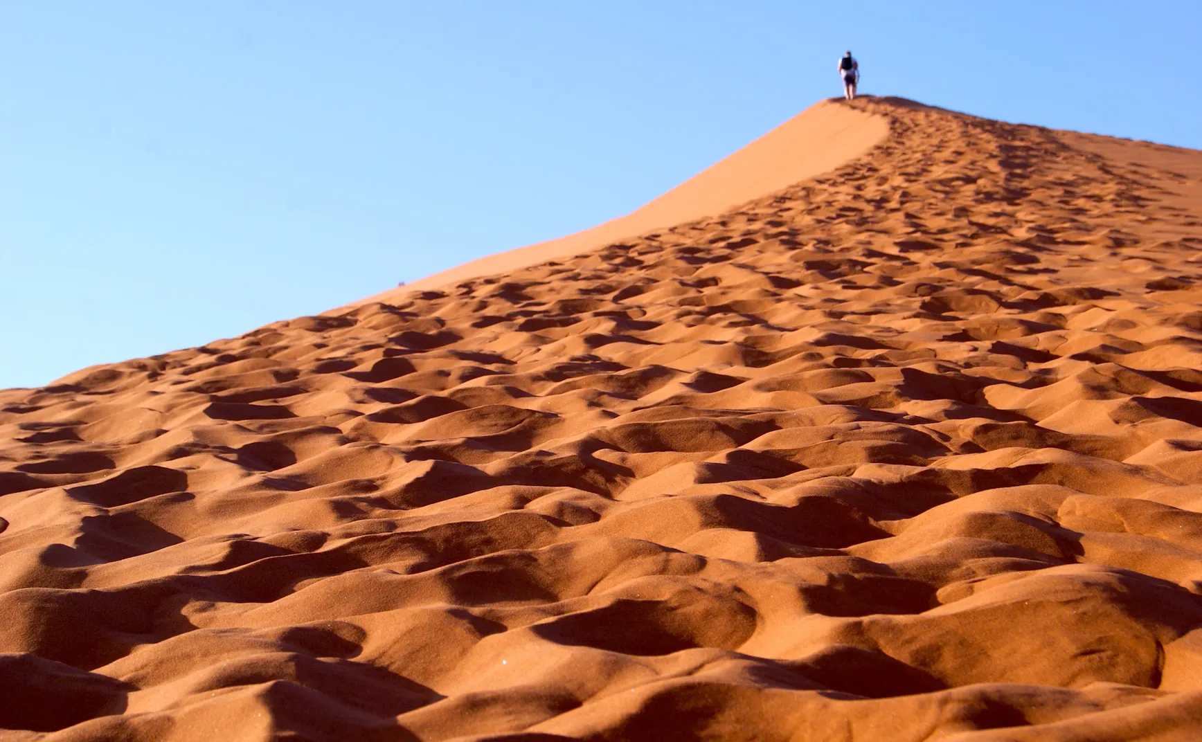 从“坚毅”到“好奇心”:一个高维成功模型的深度解析