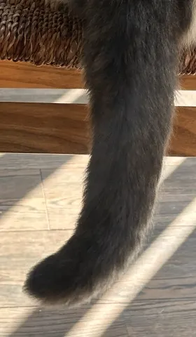 【36】幸好爱不在给予中耗损，而在给予中丰盈｜曲率飞船newsletter