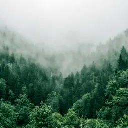 更好生活 009：写作初学者最常犯的错误、学会用分离心看人和事、警惕象征符号的陷阱