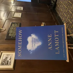 特别ISSUE—— 慢慢来，一只鸟接着一只鸟