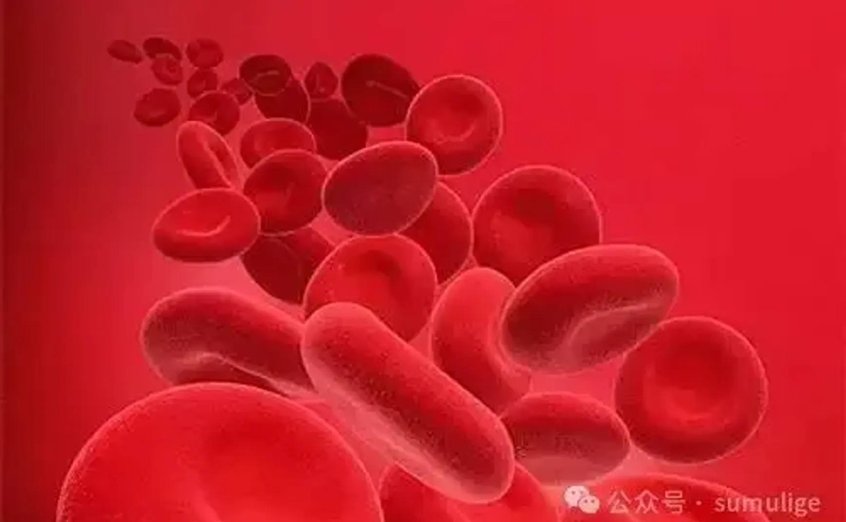 少穿一件，效果减半？最新研究：多穿衣服训练，血红蛋白竟然可以从 20% 提升到 50% ！