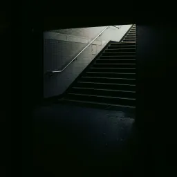 Best of book 6：《天生有罪》