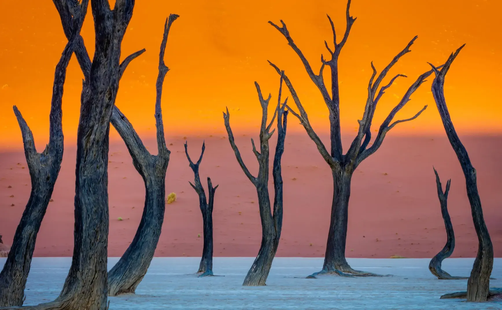 9月2日 | 上合组织通过未来十年战略；抗战胜利80周年大会将举行；多项新规9月施行