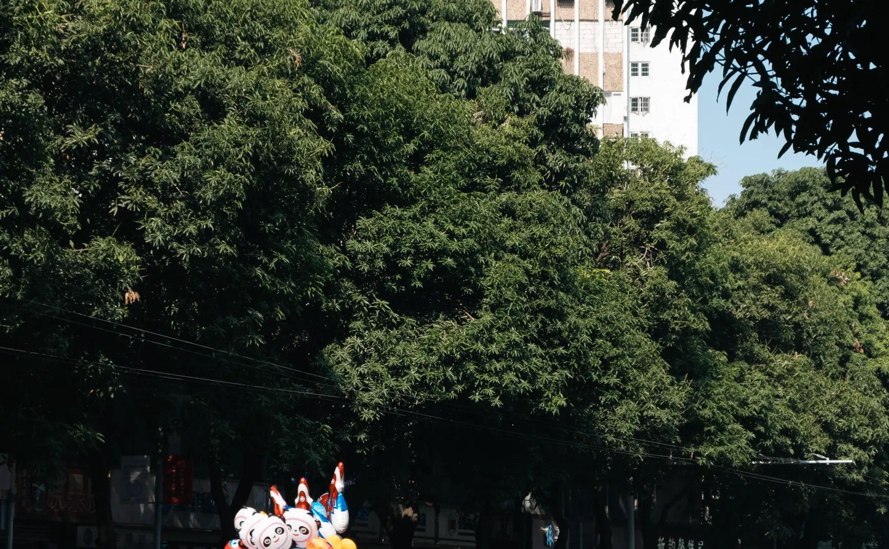 我脑袋里的怪东西 19 - 重走高中路（同福中路西行段）