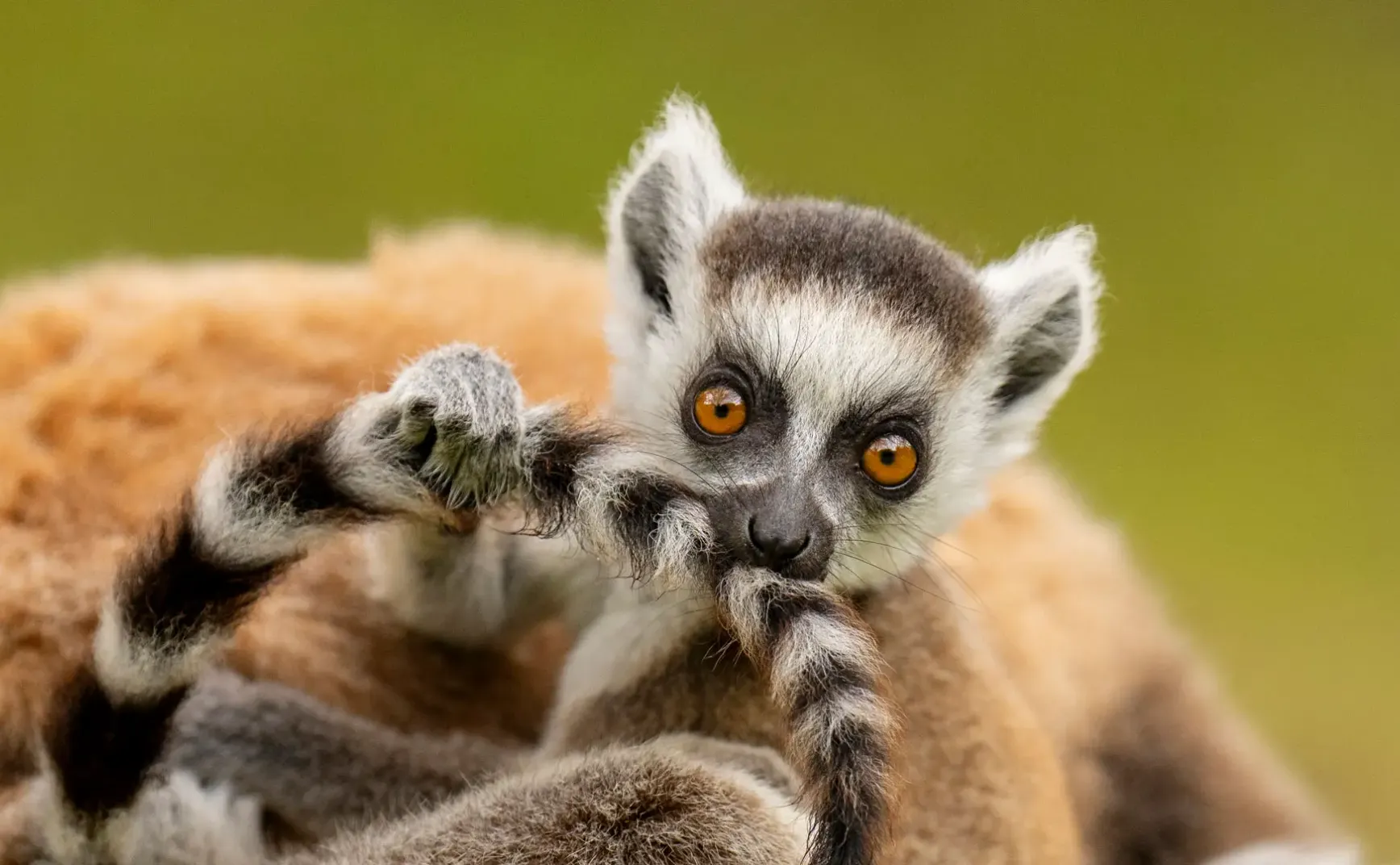 8月6日 | 网暴悲剧引关注，教育新政利民生，老兵义举暖人心