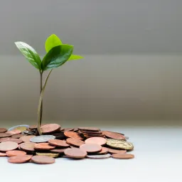 💰 Earning Money on Quaily