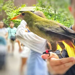 怎么在命盘上看你的「鸟」？