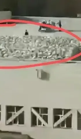 体育馆坍塌之前的珍珠岩，和中建八局的钢筋一样是场“误会”