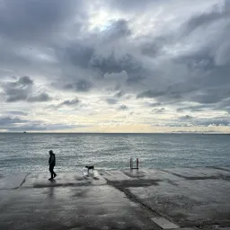 Issue #28 春天来信