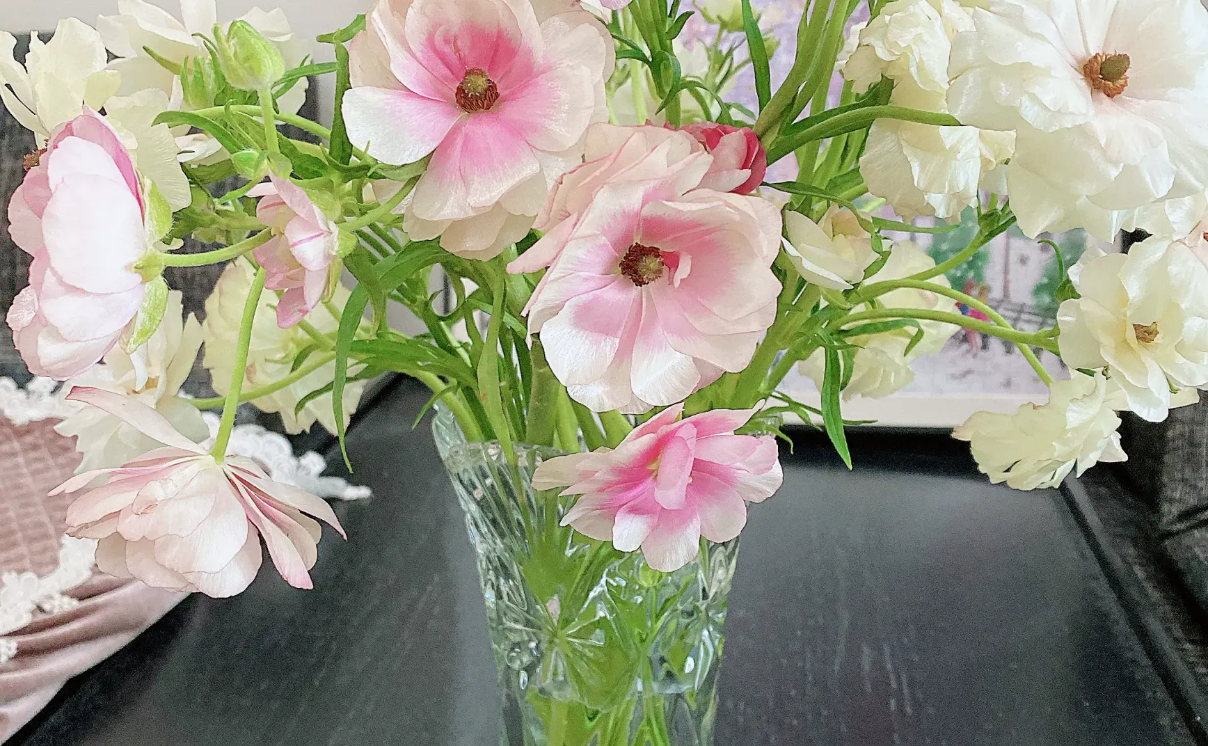 唱唱反调从竹白迁移到Quaily公告