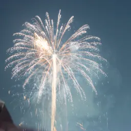 新一年 | 在纷扰中找到自己，在前行中眺望未来