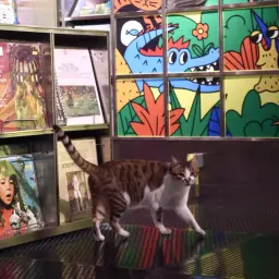 # 03 最近喜欢的作品