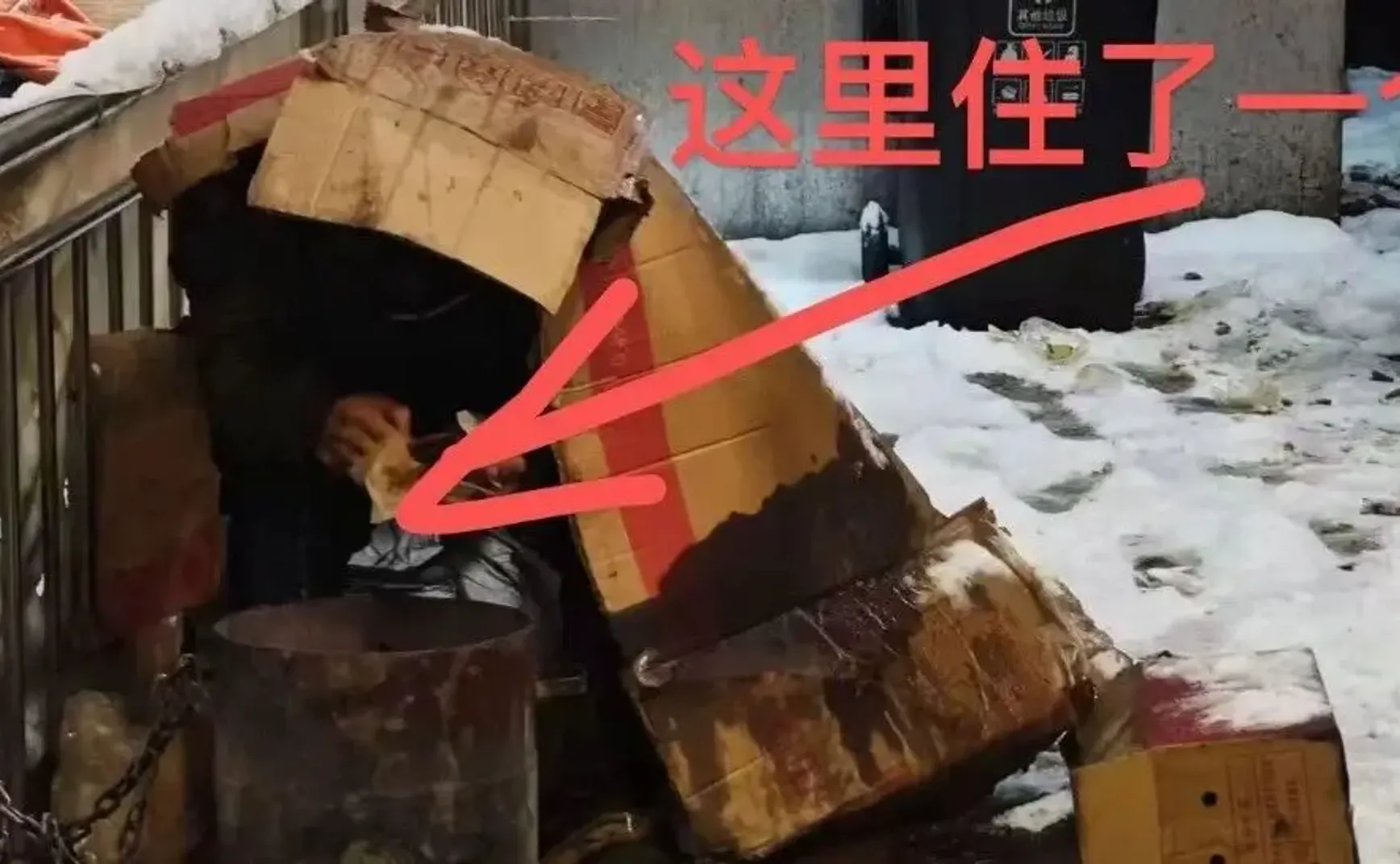 也不知道我是救了一命还是造了孽……