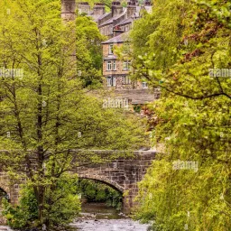 What Would Hitler Do? 