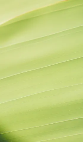 AIGC Weekly #48