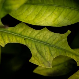 #24 删掉一个输入框,多赚1200万美元