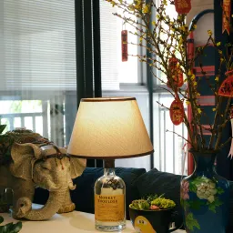 我脑袋里的怪东西 35 - DIY，反消费主义的新抗力