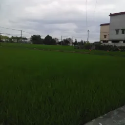 开平一日游——Travelogue in 2015