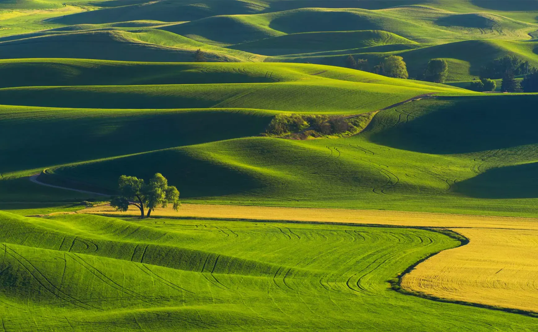 8月22日 | 公正、发展与民生：今日要闻