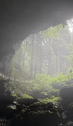 049期：IBM’s Carbon&系统提升视觉能力