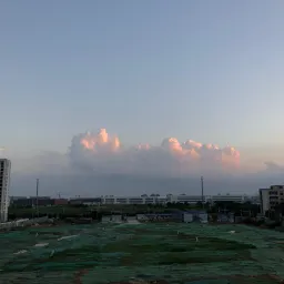 “冰箱是生产力工具”——2021年8月20日