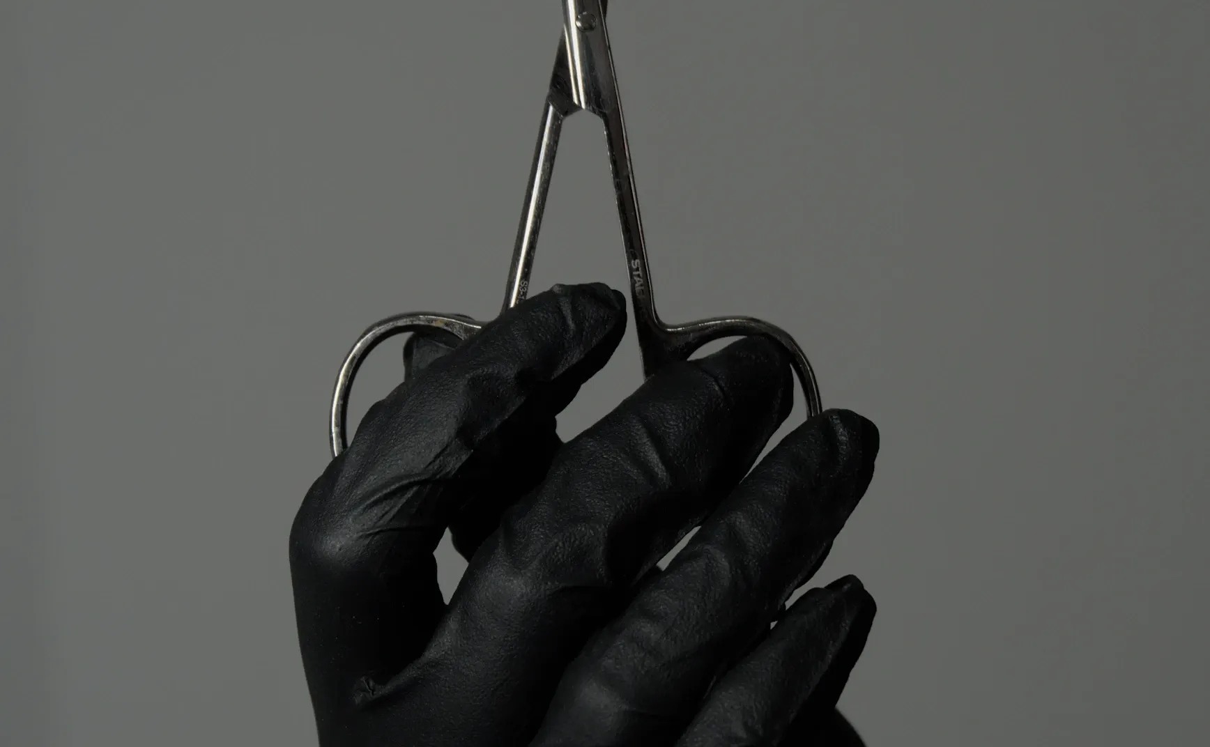 《猫的领地》第 2 章：“内卷”的解剖