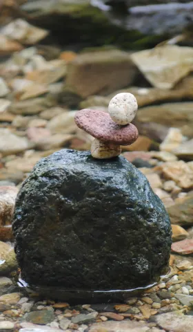 敏锐之道：解锁自我实现的隐藏密码