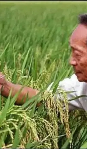 袁隆平一走，谁还关心粮食呢？