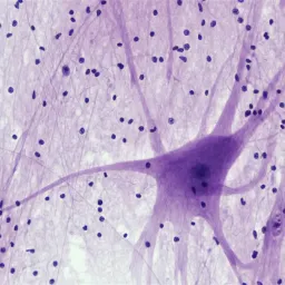 程序员复活手册第十五章:神经网络与反向传播:告别“规则”,拥抱“统计”