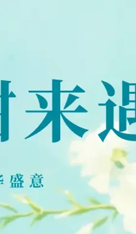 复盘W15-苦尽柑来遇见你