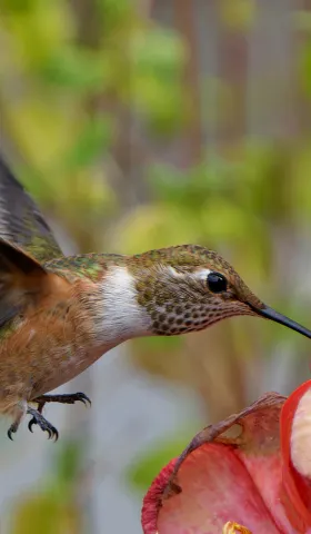 从最小行动开始重塑人生