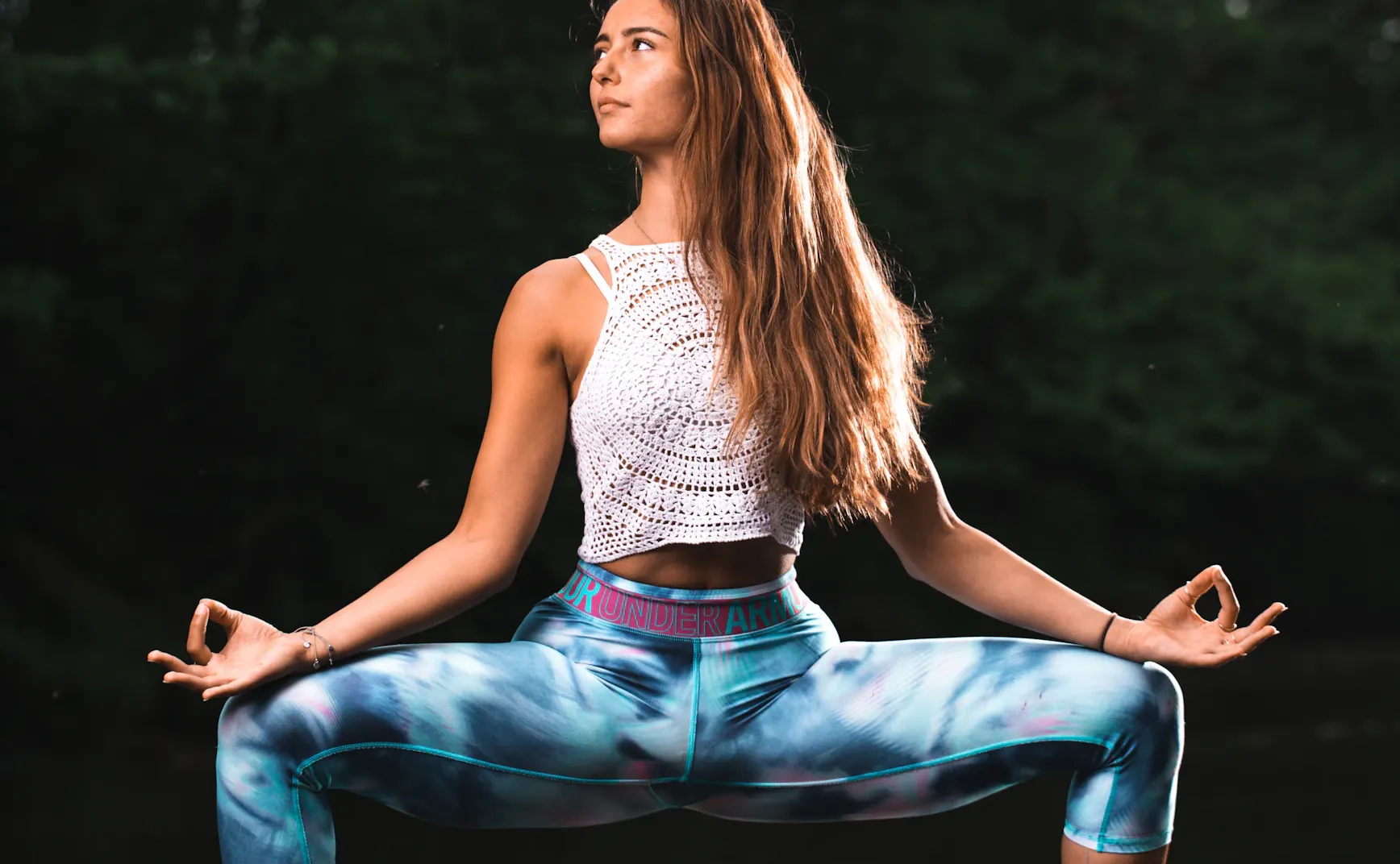 《认知主权原理与实践》第 3 章：“普拉纳”（Prana）