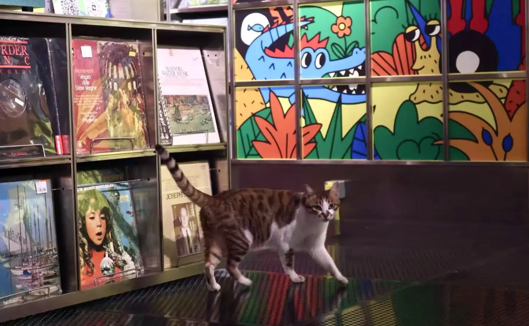 # 03 最近喜欢的作品