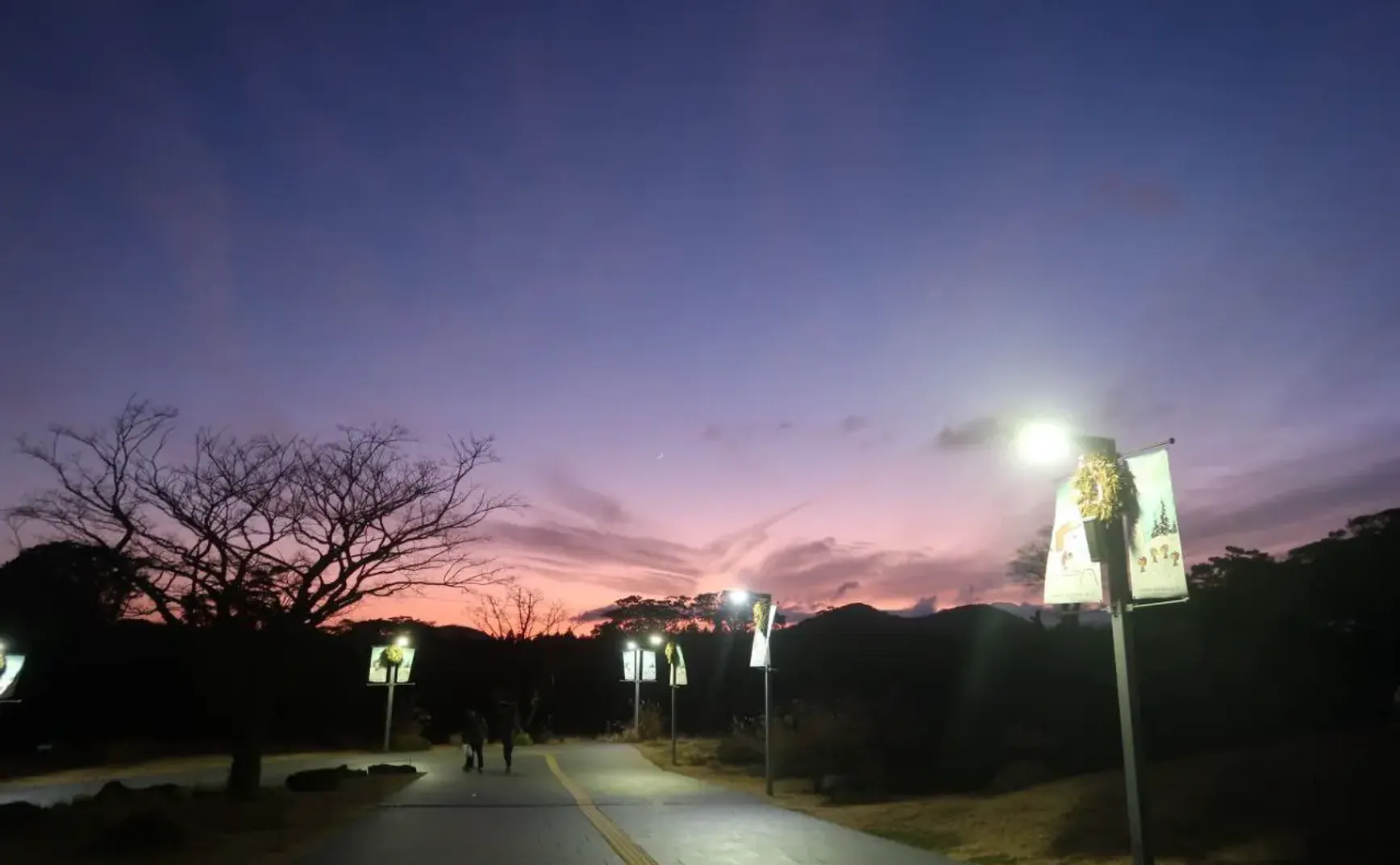 Lamenting On Recent Incident at Work