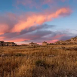8月31日 | “鲁迅墙画”风波新进展，假官员被揭，国际贸易与俄中关系受关注